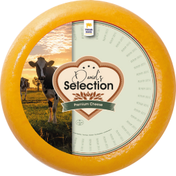 Premium Cow Cheese